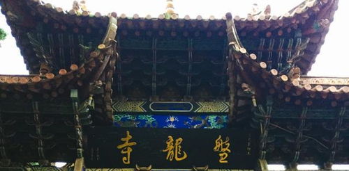 云南昆明 最旺盛 的寺庙,拥有600多岁茶花树,很多人来求姻缘