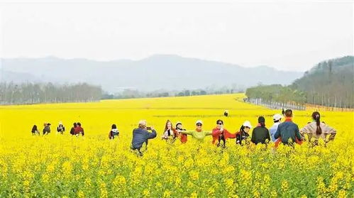 扩大内需,构建新发展格局 从旺盛的春节市场看消费新趋势