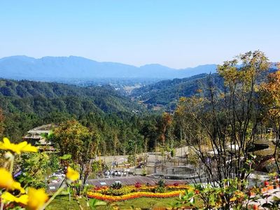 恭喜雅安碧峰峡喜提5A级景区
