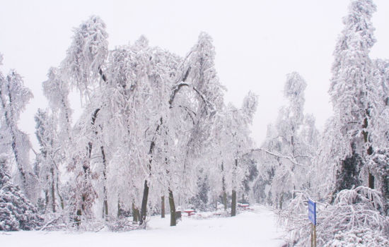 湖南将迎来降雪 带你走遍长沙最美雪景(2)