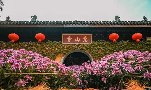 红楼解密 脂砚斋 贾宝玉 以八旬高龄圆寂于无锡惠山寺