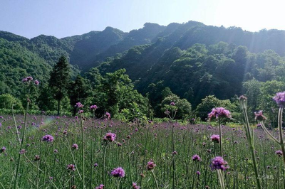 南郑藏了一处美景,邂逅一次,便会万劫不复地爱上_旅游_网