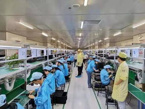 苏宁 拼拼工厂 计划,提升拼购供应链能力