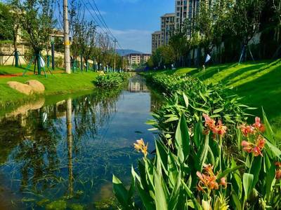 浦口:一座会“喝”降水的海绵城市